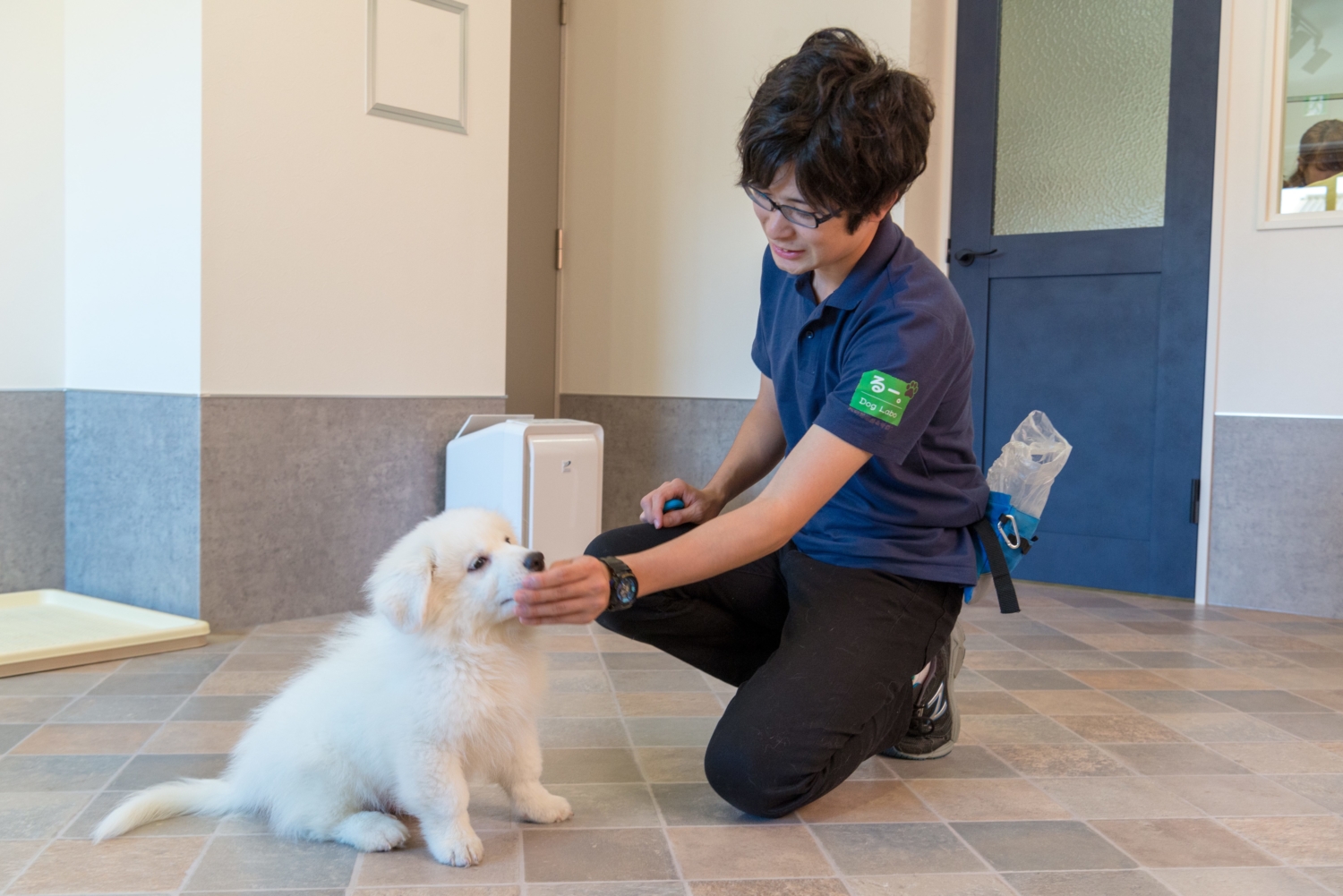 犬の幼稚園 サロン るー 越谷市 北越谷の犬の幼稚園 しつけ教室 トリミング